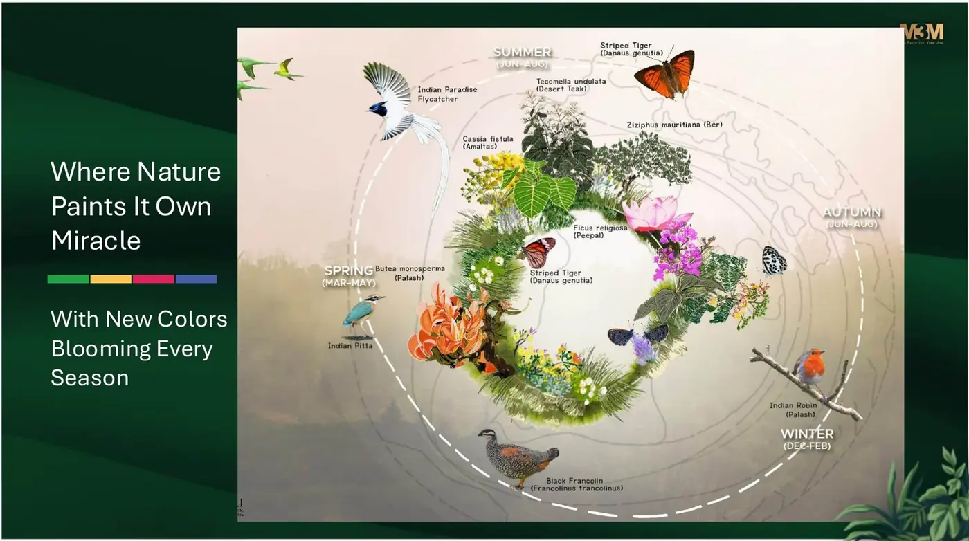 Seasonal planting calendar at M3M Forestia West showing flowering trees, birds and butterflies by season