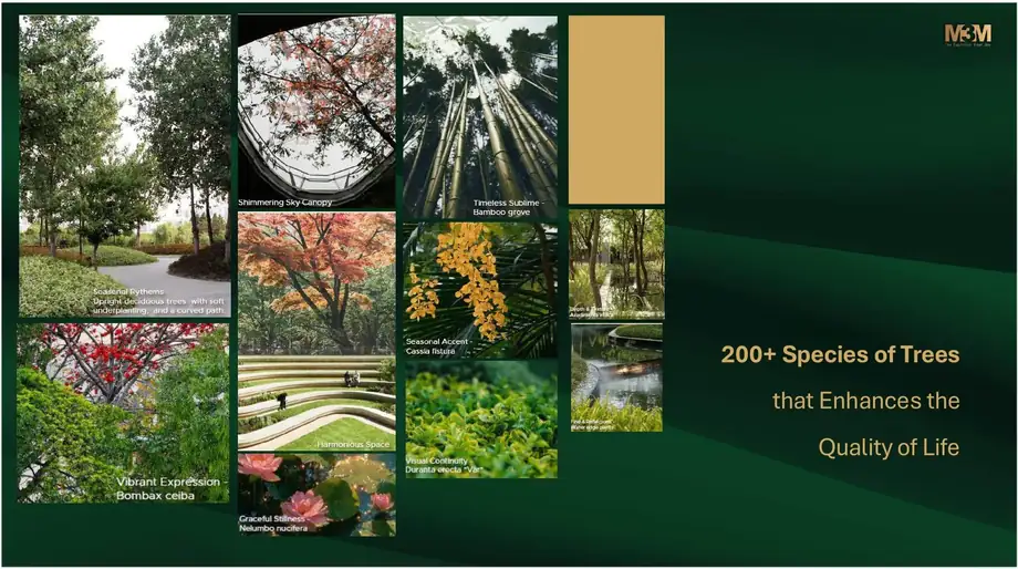 Tree species palette at M3M Forestia West including bamboo grove, Cassia fistula and Bombax ceiba