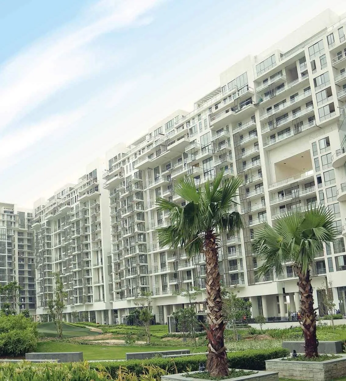 Palm-lined facade of the M3M Golf Estate towers, Sector 65 Gurgaon