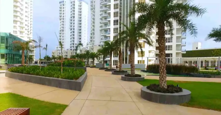 Palm lined landscaped walkway between towers at M3M Merlin Sector 67